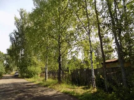 Земля рыбинск
