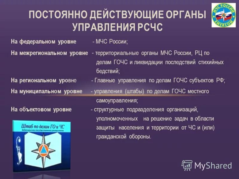Органы управления рсчс на региональном уровне. Структура координирующих органов управления рсчс. Органы управления рсчс на региональном уровне. Органы управления чс. Уровни организации рсчс таблица.