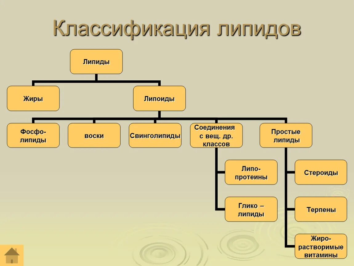 Основные липиды тканей человека. Классификация липидов жиры и липоиды. Классификация и строение липидов биохимия. Классификация липидов биохимия таблица. Биологическая классификация липидов и их функции.