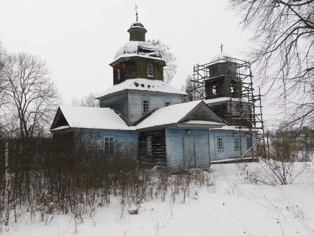 суражский р н брянская обл