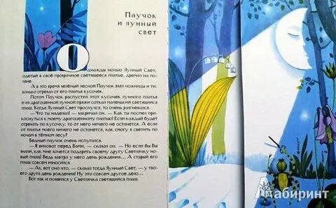 Основная мысль текста паучок и лунный свет