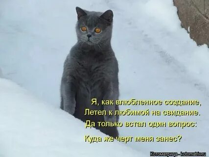 Ах не смотрите на меня