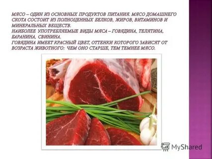 Из чего состоит мясо
