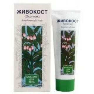 Окопник бубновского