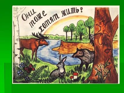 Картинки на тему берегите природу