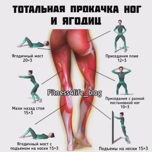 Фредерик делавье становая тяга. Мертвая тяга. Ягодичные мышцы анатомия строение. Как накачать нижние ягодицы. Упражнения на ягодичные мышцы.