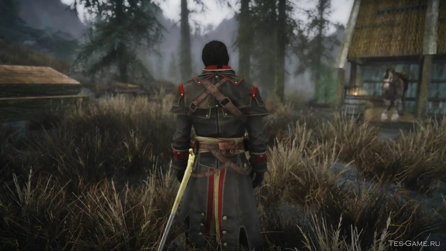 Мод на изгоя. Assassin&#039;s creed rogue templar armor. assassin&#039;s creed изгой броня тамплиера. skyrim мод броня тамплиера. ассасин крид 4 одежда тамплиера.