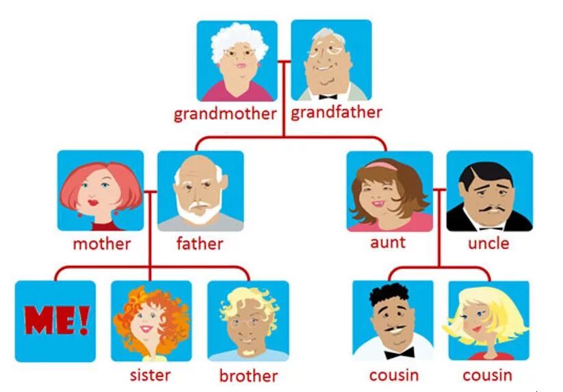 Aunt s brother is. Семья на английском. Члены семьи на английском. Родственники на английском. Тема семья на английском.