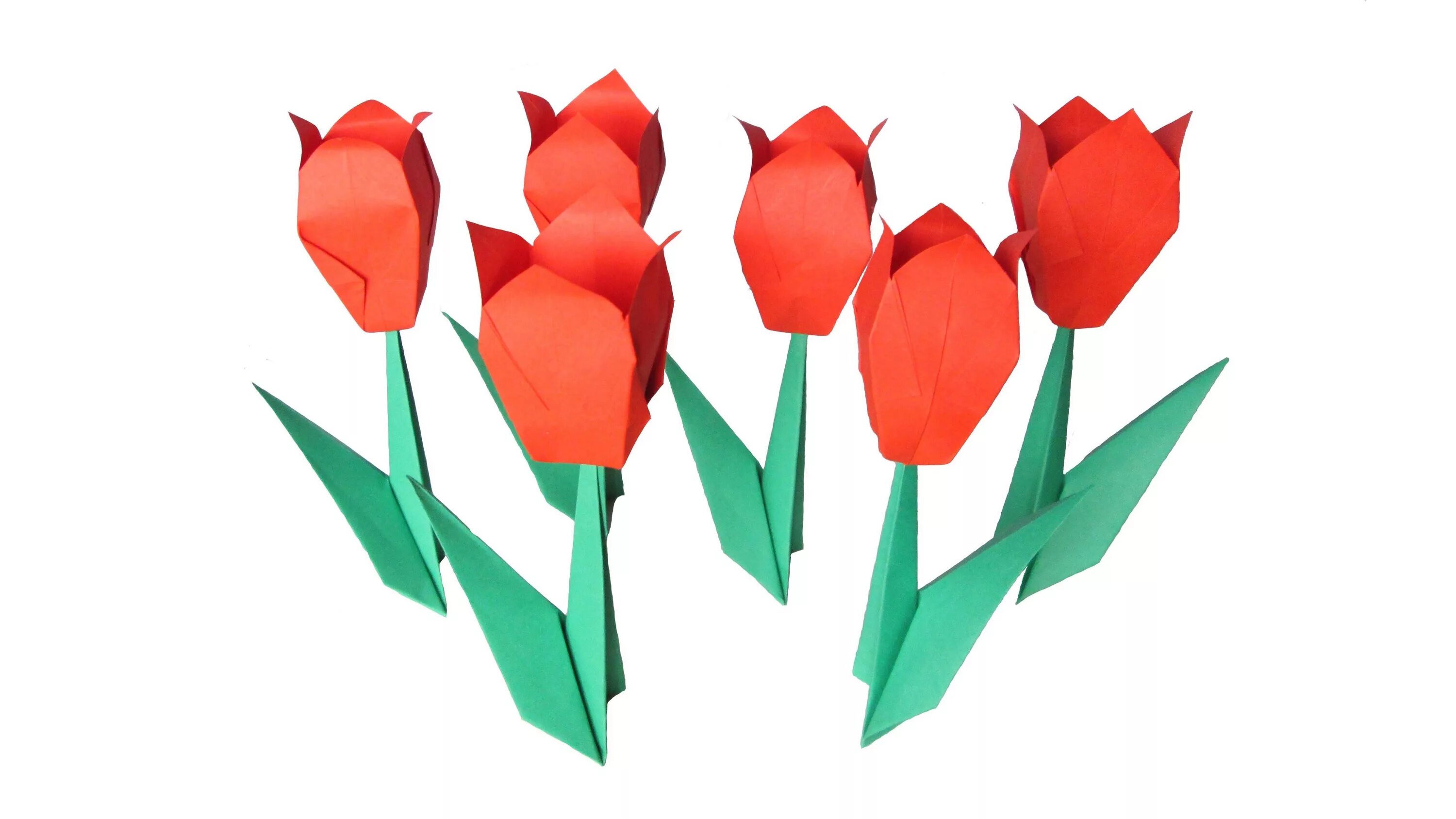 Объемные тюльпаны. Поделка тюльпаны из бумаги. Оригами тюльпан. Объемные тюльпаны из бумаги.