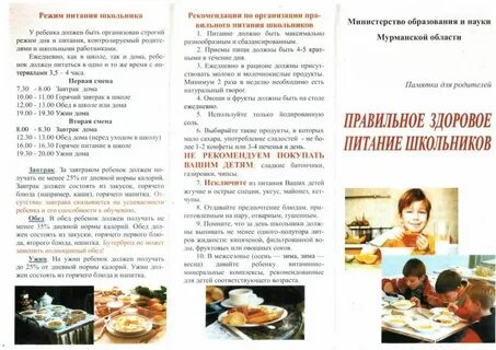 Питание детей памятка родителей