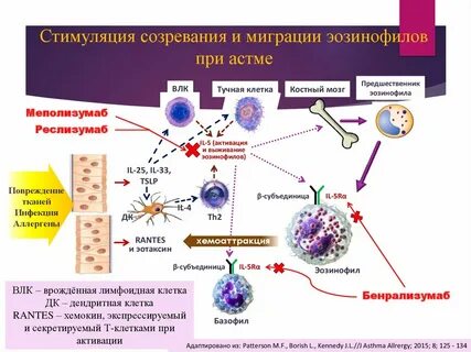 Стимуляция клеток