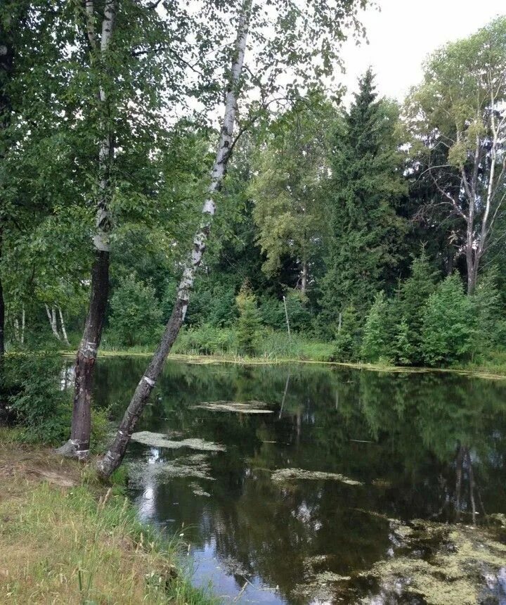 Снт барнаула на карте. Власиха озера. Снт пригородное барнаул. Власиха парк. Городской округ барнаул.