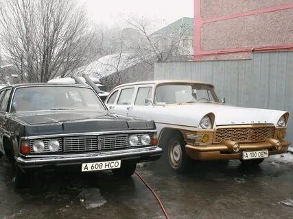 Чайка 12