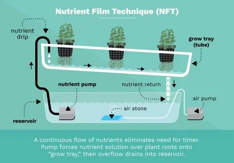 Что такое nft простым языком