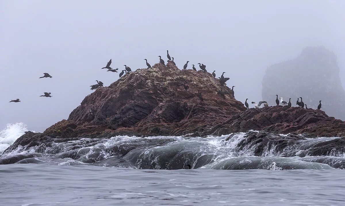 Landscape View -- Aleutian & Bering Sea Islands Landscape Conservation Cooperati
