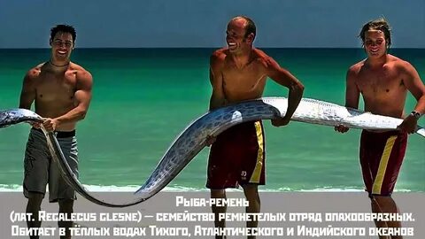 I m long