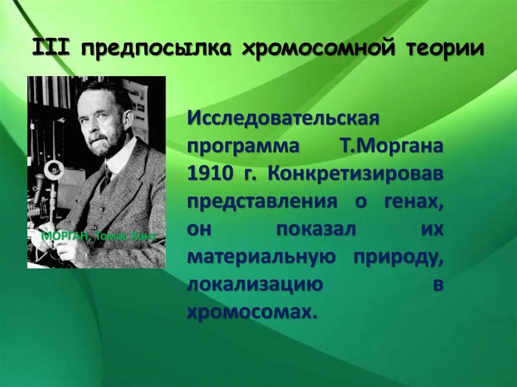 Положениями хромосомной теории наследственности является. Хромосомная теория Томаса Моргана. Хромосомная теория наследственности Моргана. Теория наследственности Моргана.