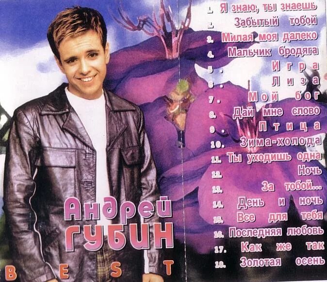 Губин забытый тобой. Губин забытый тобой. Листопад песня губин. Песня года 1996 список звёзд. Листопад песня губин.
