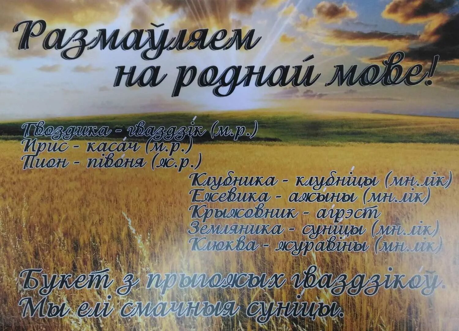 Будаўніцтва новага жыцця 4 клас. День роднай мовы. День беларускай мовы. Стихи про родную мову. Стихи на белорусском языке.