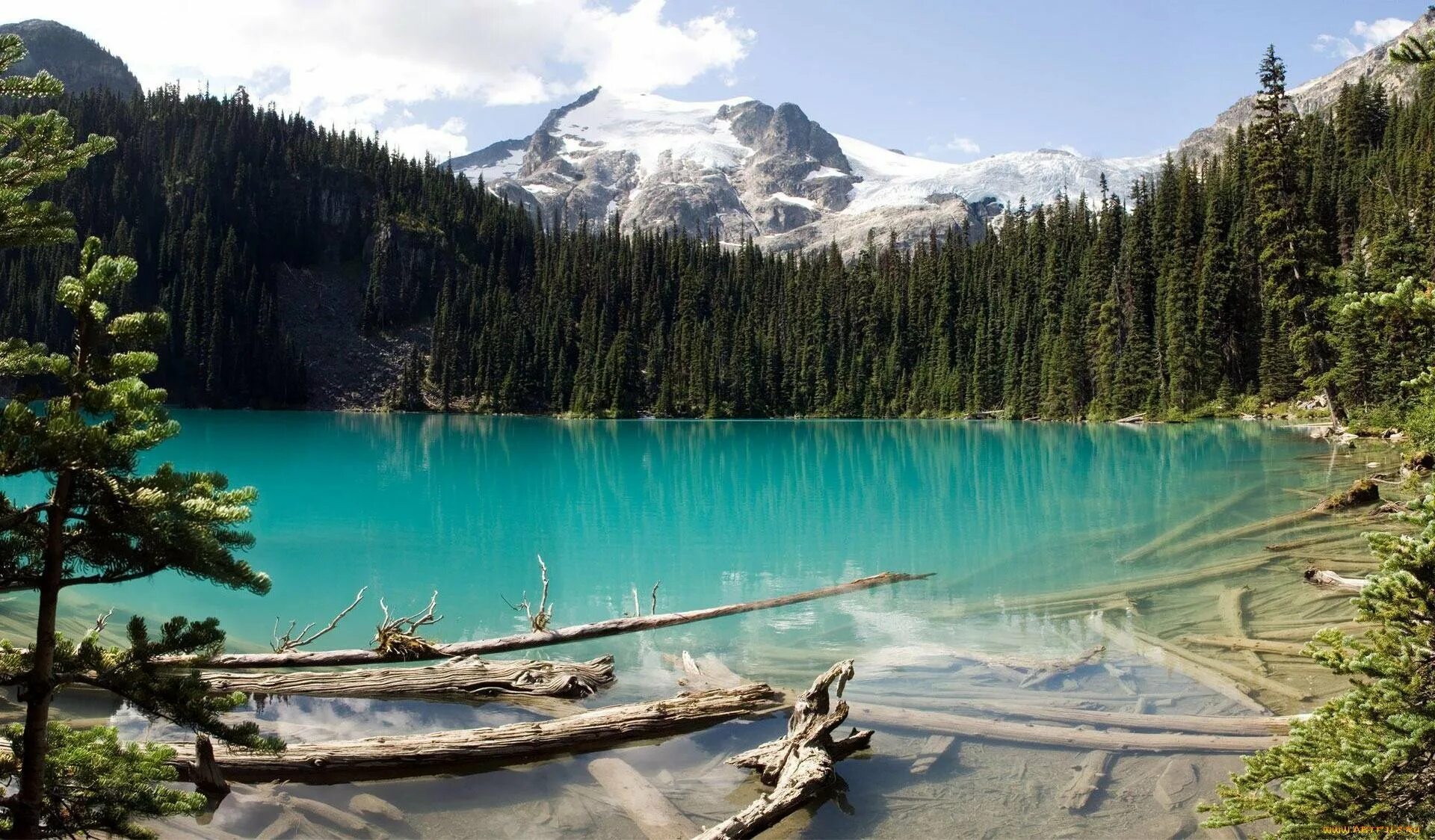 Озеро Морейн в Канаде. Британская Колумбия British Columbia Канада. Изумрудное озеро горный Алтай. Изумрудное озеро Байкал.