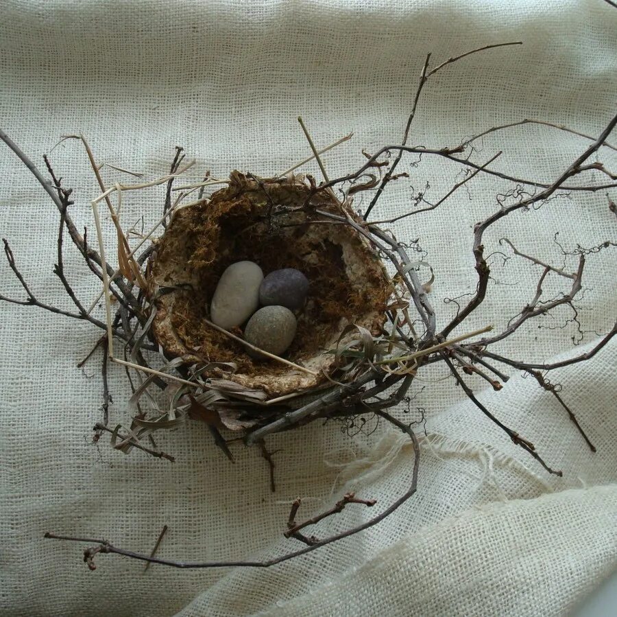 Гнездо jk603. Гнездо из веток. Гнездышко из веточек. Гнездо декоративное.