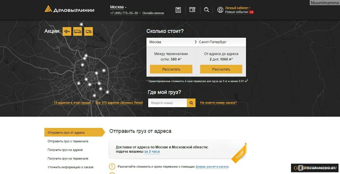 Деловые линии маркетплейс телефон. Деловые линии. ТК Деловые линии. Деловые линии значок. Деловые линии надпись.