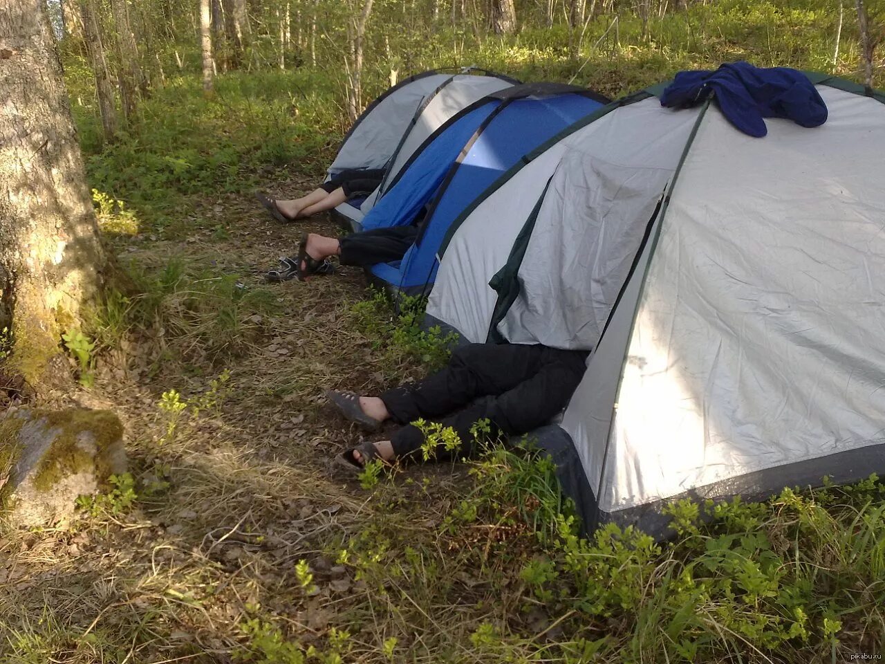 Ужасный поход. Прикольные палатки. Поход с палатками. Смешная палатка. Палатка для рыбалки.