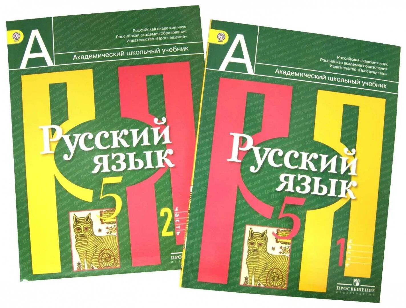 Рус 5 класс. Русский язык 5 класс учебник. Книга русский язык 5 класс. Учебник по русскому языку 5 класс. Учебник 5 класс русский язве.