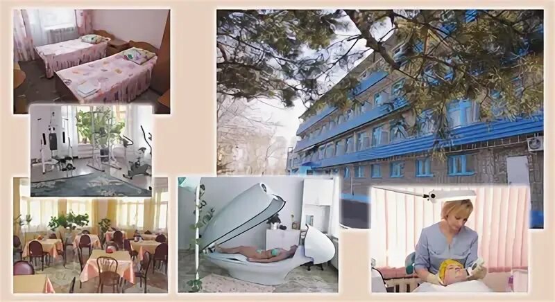 Кедр комсомольск