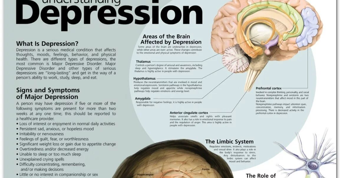 Brain only. Depression Health. Brain depression. What is Brain. What? Depression.