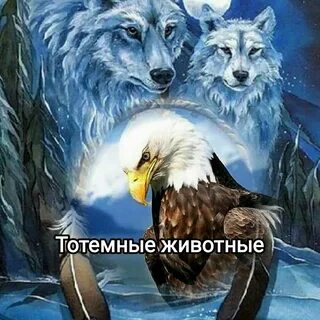 Ворон волк и олень