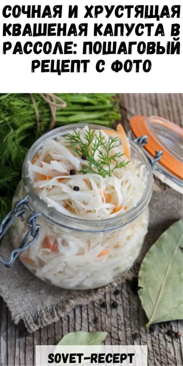 Капуста квашенная рецепт рассола