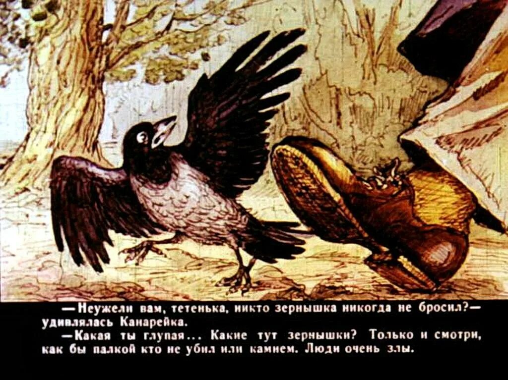 Ворона и канарейка мамин сибиряк. Мамин сибиряк воронушка. Мамин сибиряк воронушка. Сказка про воронушку черную головушку и желтую птичку канарейку. Сказки мамина сибиряка про воронушку черную головушку.