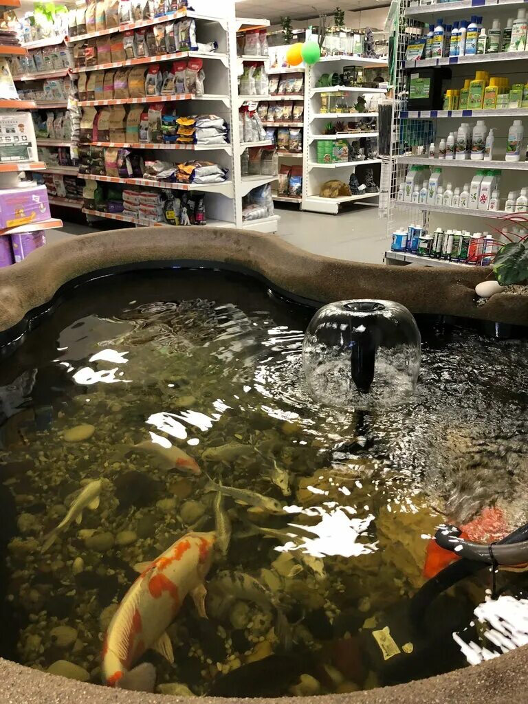 Акваинтерио в санкт петербурге. Акваинтерио в санкт петербурге. Магазин аквариумов на энгельса акваинтерио. Акваинтерио пр энгельса. Аквариумный гипермаркет акваинтерио.