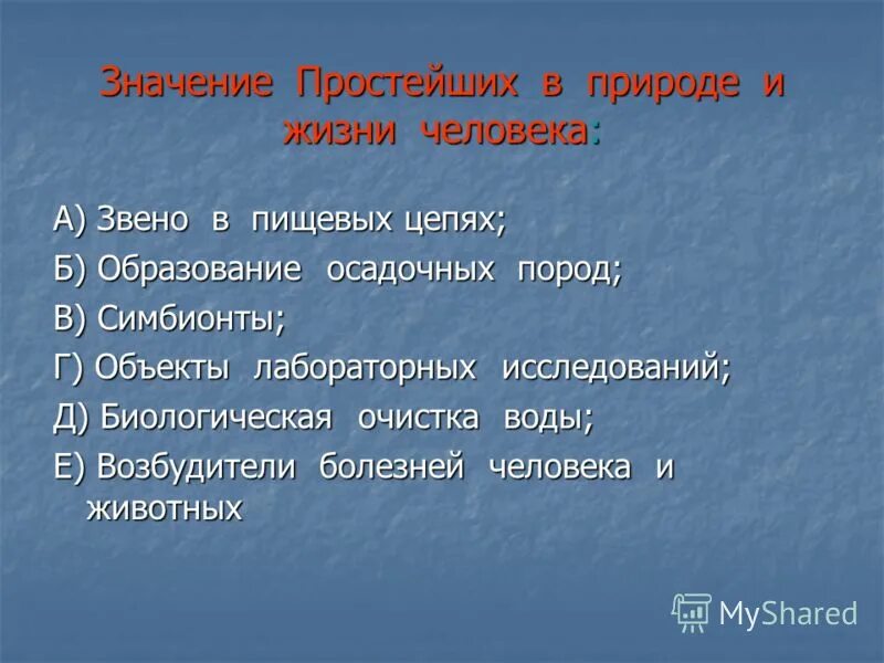 Значение простейших в природе и жизни. Значение простейших в природе. Роль простейших в природе. Значение простейших для человека. Что значит быть простым человеком