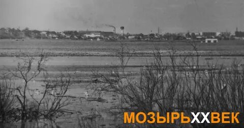 Уровень реки припять мозырь