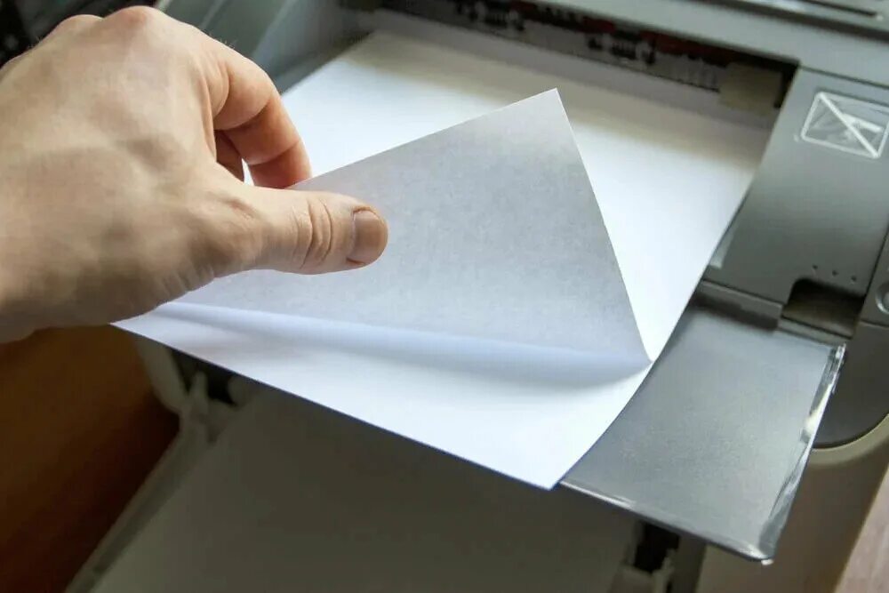Лист вышедший из принтера. Бумага для принтера. принтер из бумаги. напечатанная бумага. специальная бумага для принтера.