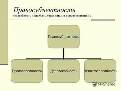 Правосубъектность правоотношений