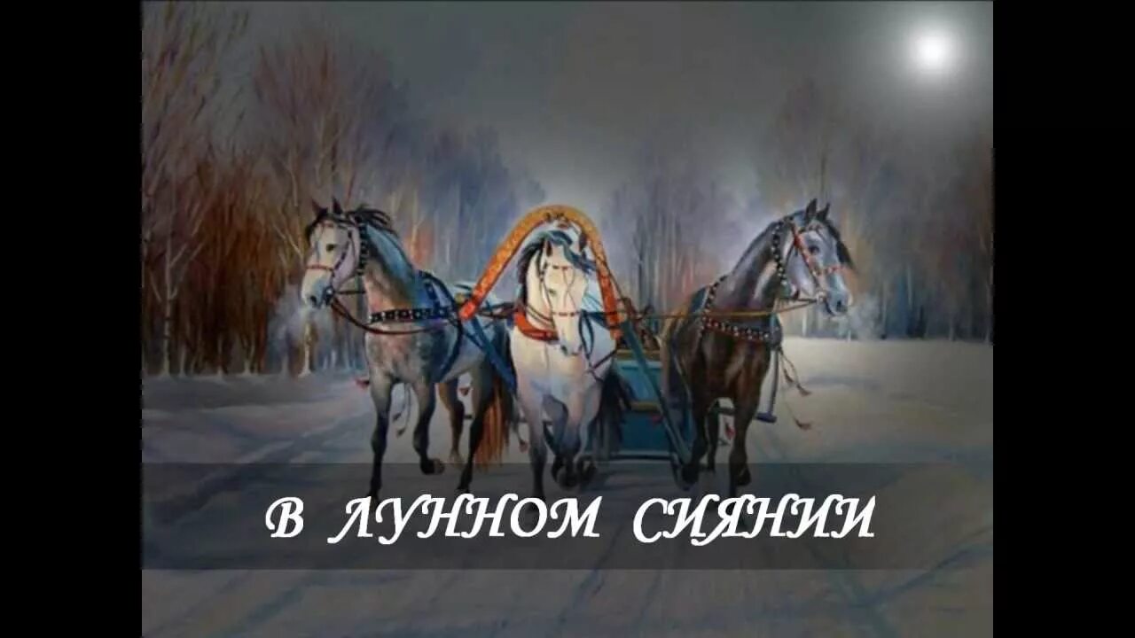 Песня иду дорогой длинною. Лунное сияние. Тройка на зимней дороге. Тройка коней по заснеженной дороге. Тройка лошадей на зимней дороге.