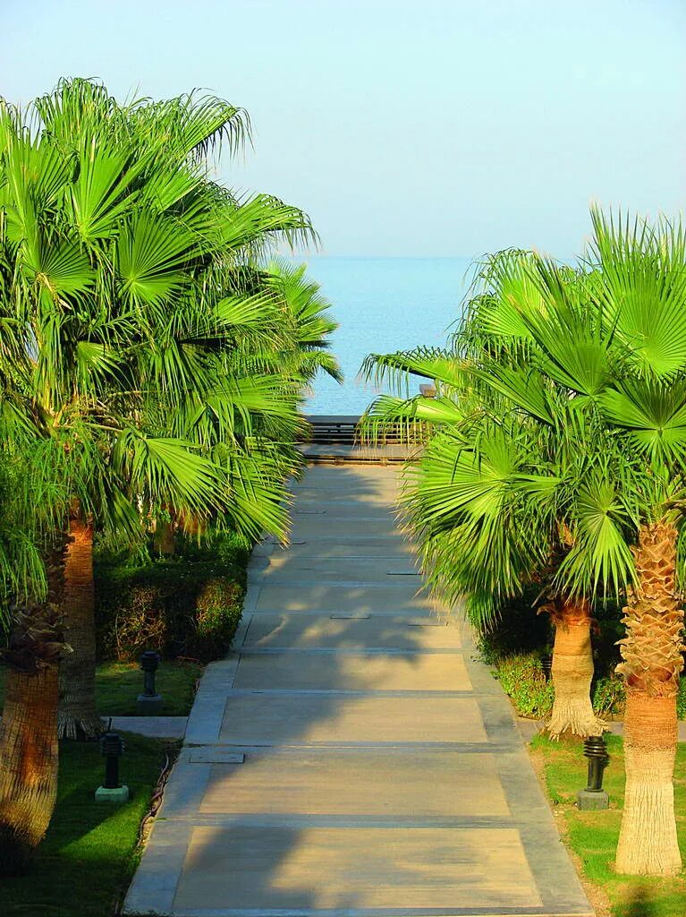 Sheraton Египет Шарм-Эль-Шейх. Sheraton Sharm Resort 5. Отель Шератон Египет. Шератон Шарм-Эль-Шейх пляж.