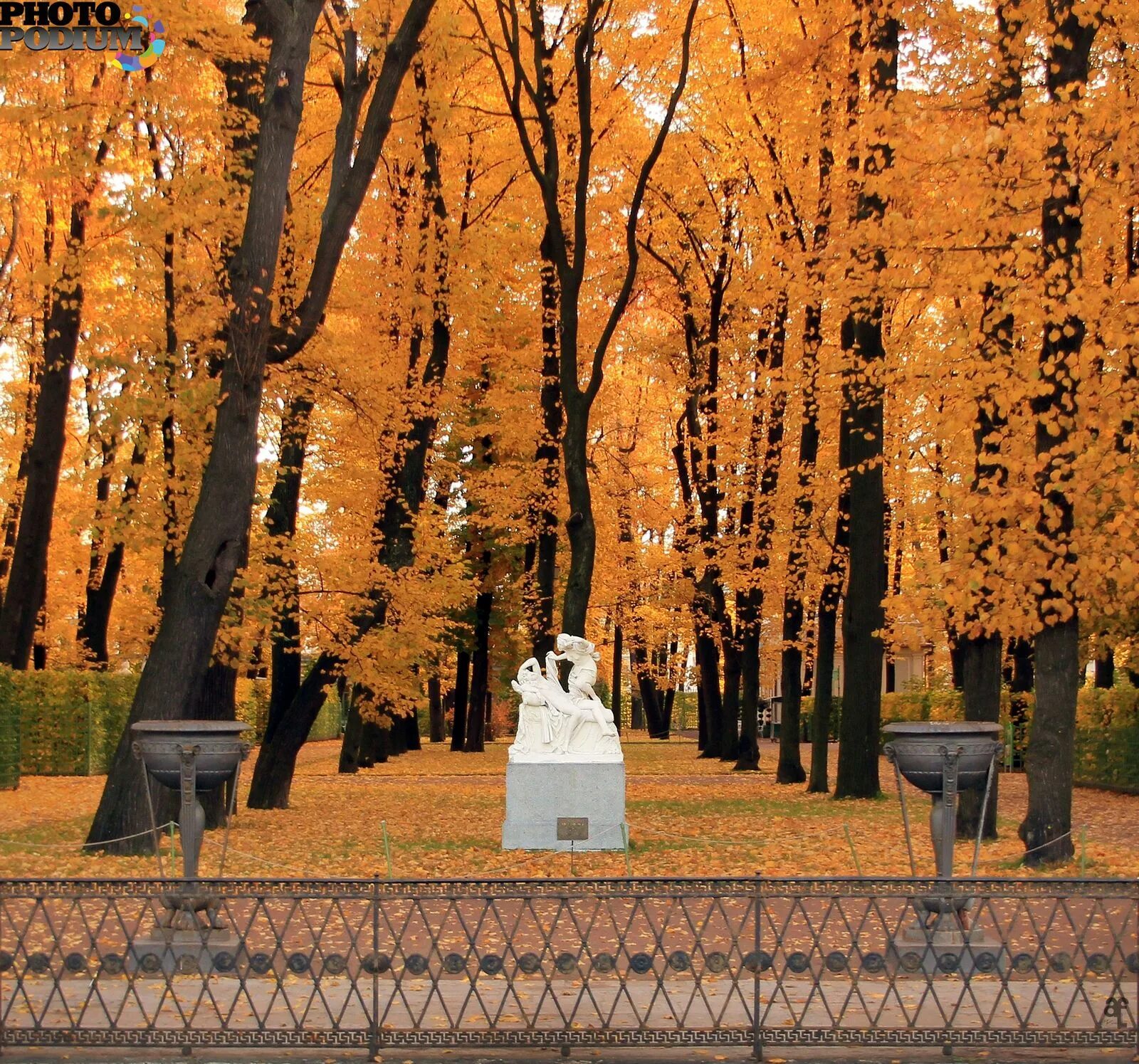 В старом парке есть кленовая аллея. Летний сад в Санкт-Петербурге осенью. Питер летний сад осенью. Санкт-Петербург летний сад аллеи осенью. Золотая осень в летнем саду СПБ.