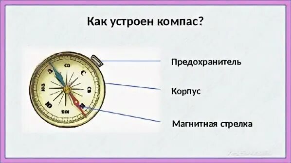 Покажи где у компаса находится предохранитель. Компас предохранитель корпус магнитная стрелка. Как устроен компас. Компас 2 класс окружающий мир. Части компаса 2 класс окружающий мир.