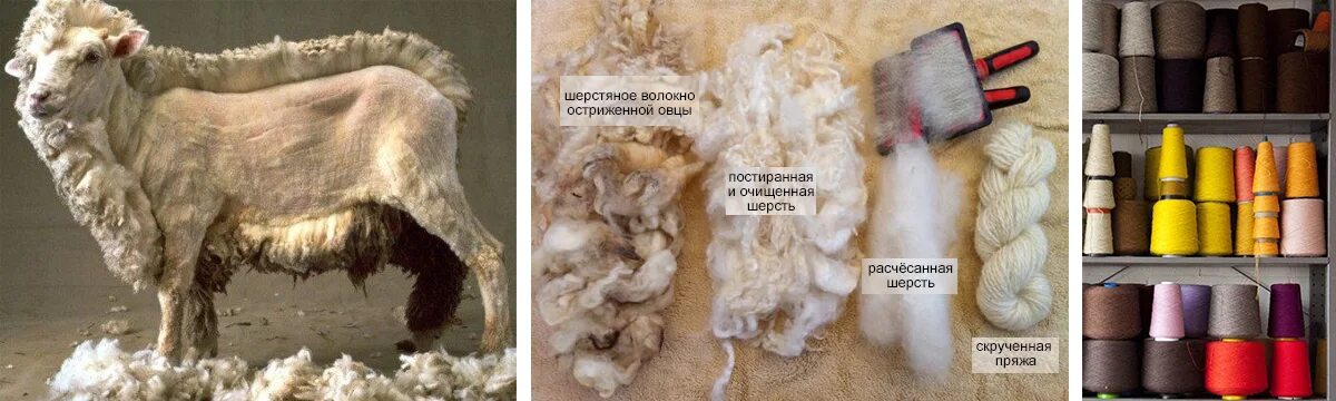 Где взять шерсть