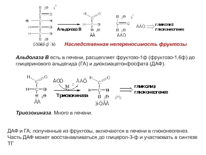 Нарушения фруктозы. Метаболизм фруктозы схема. Обмен фруктозы биохимия схема. Синтез Глюкозы из фруктозы биохимия. Схема обмена фруктозы в печени.