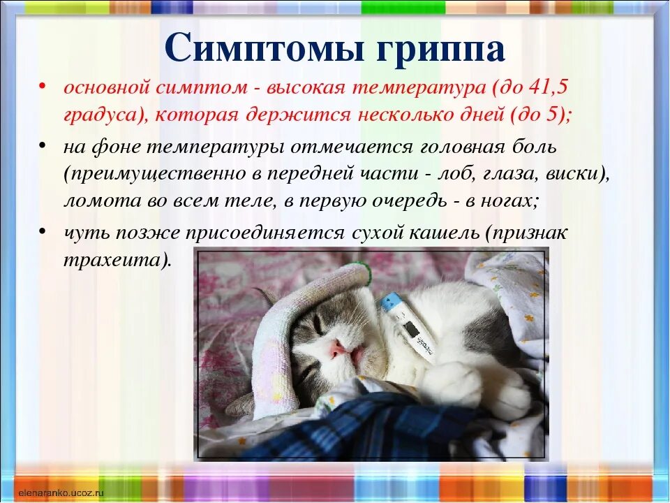 Симптомы температура 5 дней
