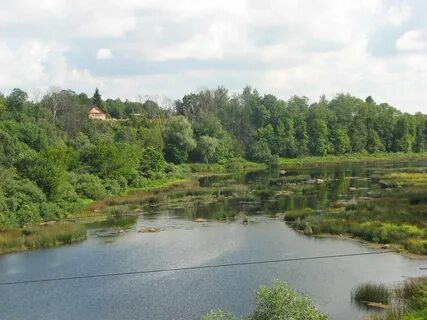 Река шелонь