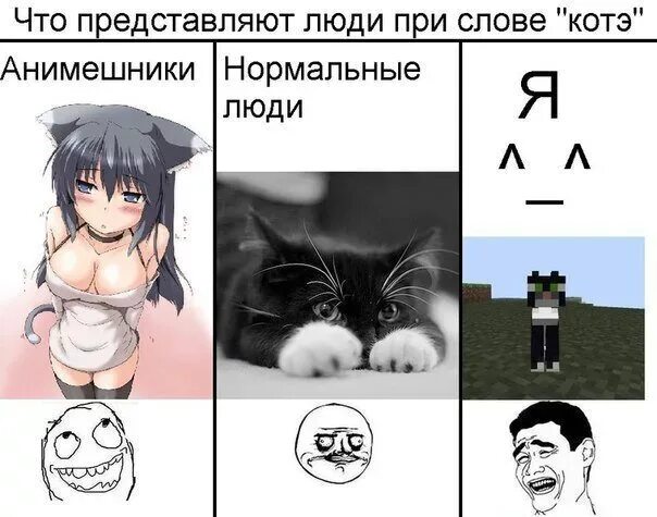 Против анимешников. Анти аниме. Анимешник против мангера. Против анимешников. Запрет аниме.