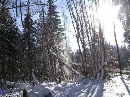 Русский лес удомля