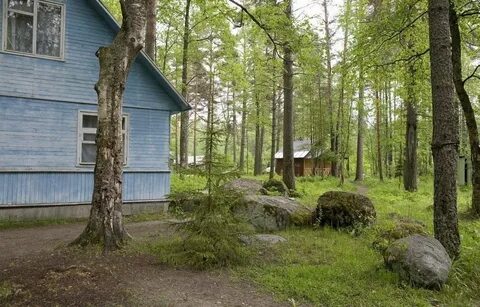 Ягодное ленинградская область