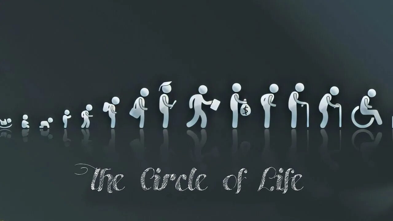 Them of life meaning of. Circle of Life обои. Обложки для ВК Эстетика школа. Однотипные действия картинки. Meaning of Life.